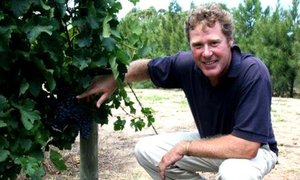 Golden limelight for Lomond Wine at Veritas